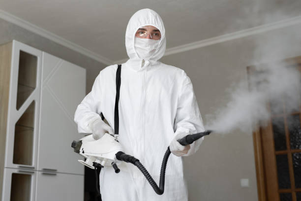 Jennings, LA Mold Removal Services Company